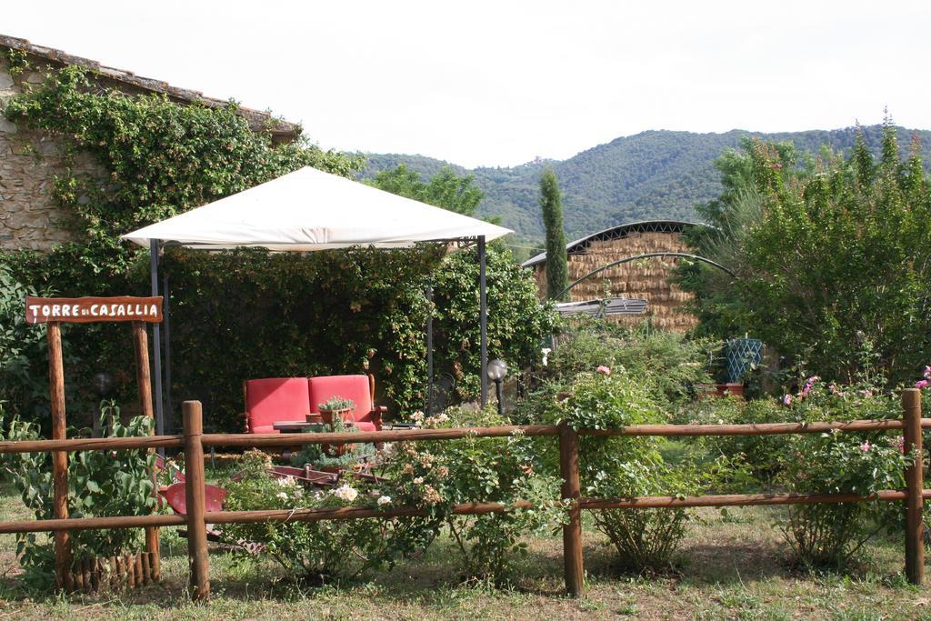 Castello Di Casallia Vetulonia ภายนอก รูปภาพ