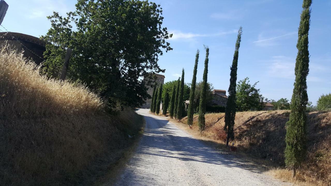 Castello Di Casallia Vetulonia ภายนอก รูปภาพ