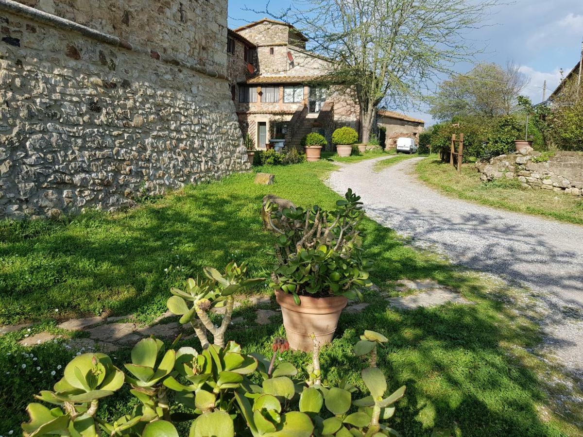 Castello Di Casallia Vetulonia ภายนอก รูปภาพ