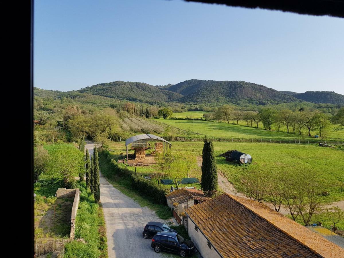 Castello Di Casallia Vetulonia ภายนอก รูปภาพ